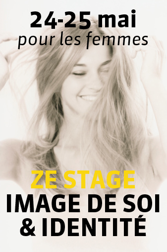 Ze_stage