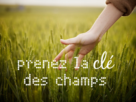 Clé_des_champs